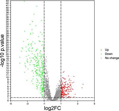 Identification and Validation of the Immune Regulator CXCR4 as a Novel Promising Target for Gastric Cancer